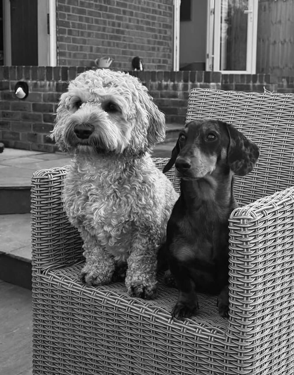 Buddy & George